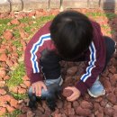 고릴라 소프트 이미지