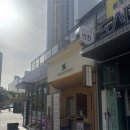 텐퍼센트커피일광자이 | 속초 조양자이 카페 추천, 텐퍼센트 커피 솔직 후기🫧