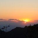 카네기무도장 이미지