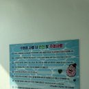 키즈팬더 | 가평 에코힐링 키즈 풀빌라 8살 4살 아이와 팬더룸 후기 미온수 수영장