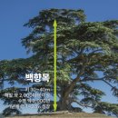 갈멜목장 이미지