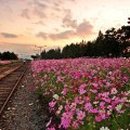 이지로움 이미지