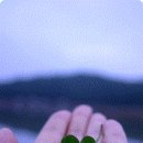 길따라행운 이미지