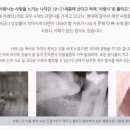 연세안치과의원 이미지
