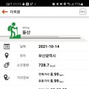 진홍사