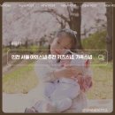 키즈오락 | 인천 서울 야외스냅 업체 추천 오락필름 키즈 가족스냅 내돈내산