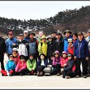 천리포항 이미지