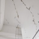 데구르르 이미지