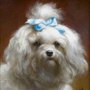 건담한의원 이미지