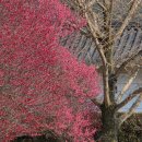 화동초등학교 출구 앞 이미지