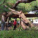 서울둘레길 fun트레킹 9차, 북한산의 생태문화(19 북한산 성북코스) 이미지