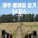노가리 앤 생맥주