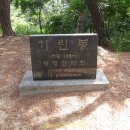 교룡로 이미지