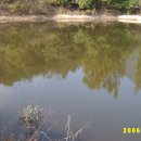 송암1리 이미지