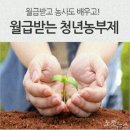 농업회사법인(주)성주 이미지
