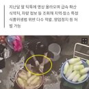 &#34;발 넣고 뒤꿈치 벅벅&#34;..경악 &#39;무 세척&#39; 그 식당, &#39;방배족발&#39;이었다 이미지