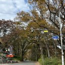 공주-11 | [공주 단풍] 대전근교 가을 단풍명소로 유명한 공주 계룡산의 &#39;갑사&#39; 11월 방문 후기 및 주차 정보