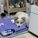 해봉유치원 이미지