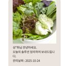 (주)쥬비스다이어트 인천점