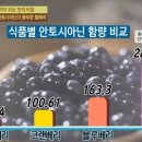 빌베리 이미지