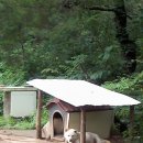 예솔누리 이미지