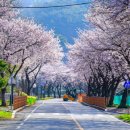 거북이마을 이미지