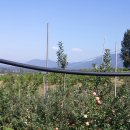 사암농장 이미지