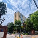 압구정-119 이미지