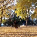 은행마을로 이미지