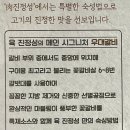 인천 송도 8공구 고깃집 도장깨기 후기ㅣ육 진정성