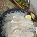 남여니네횟집 이미지