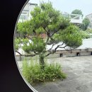 [진주/평거동] 진주 디저트카페 차분히커피part2