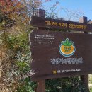 김영기 농장 이미지