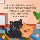 고양 우리아이 동물병원 이미지