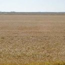 부석면사무소 이미지