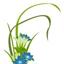 용담연못 이미지