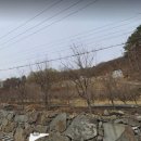 안금농장 네이버블로그