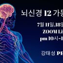 뇌신경 가동술 5기 모집(온라인강의) 이미지