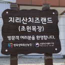 치즈랜드