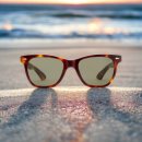 사라토가안경 이미지