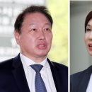 노소영 손 들어준 항소심…&#34;최태원, 1조3800억 재산 분할&#34; 이미지