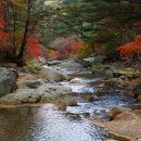 백천계곡 이미지