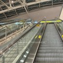 파리바게트 운서점 | [호주 멜버른] 인천국제공항 노숙 후기 (feat. 푸파)