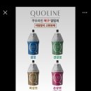 보보스헤어라인