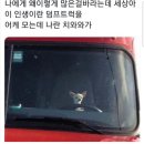 피티디