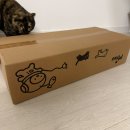 클로우 | 고양이 스크래쳐 추천, 발톱깎기 스트레스 줄여주는 클로우케어 스크래쳐 찐 사용 후기!