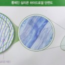 마이밸런스100 이미지
