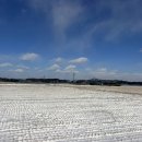 지산 행정사 이미지