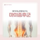 분당정자역정형외과의원 | [성남도수치료 분당정자역정형외과] 배변·배뇨 문제까지? 마미증후군, 놓치면 위험합니다