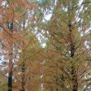 경상남도 수목원 이미지